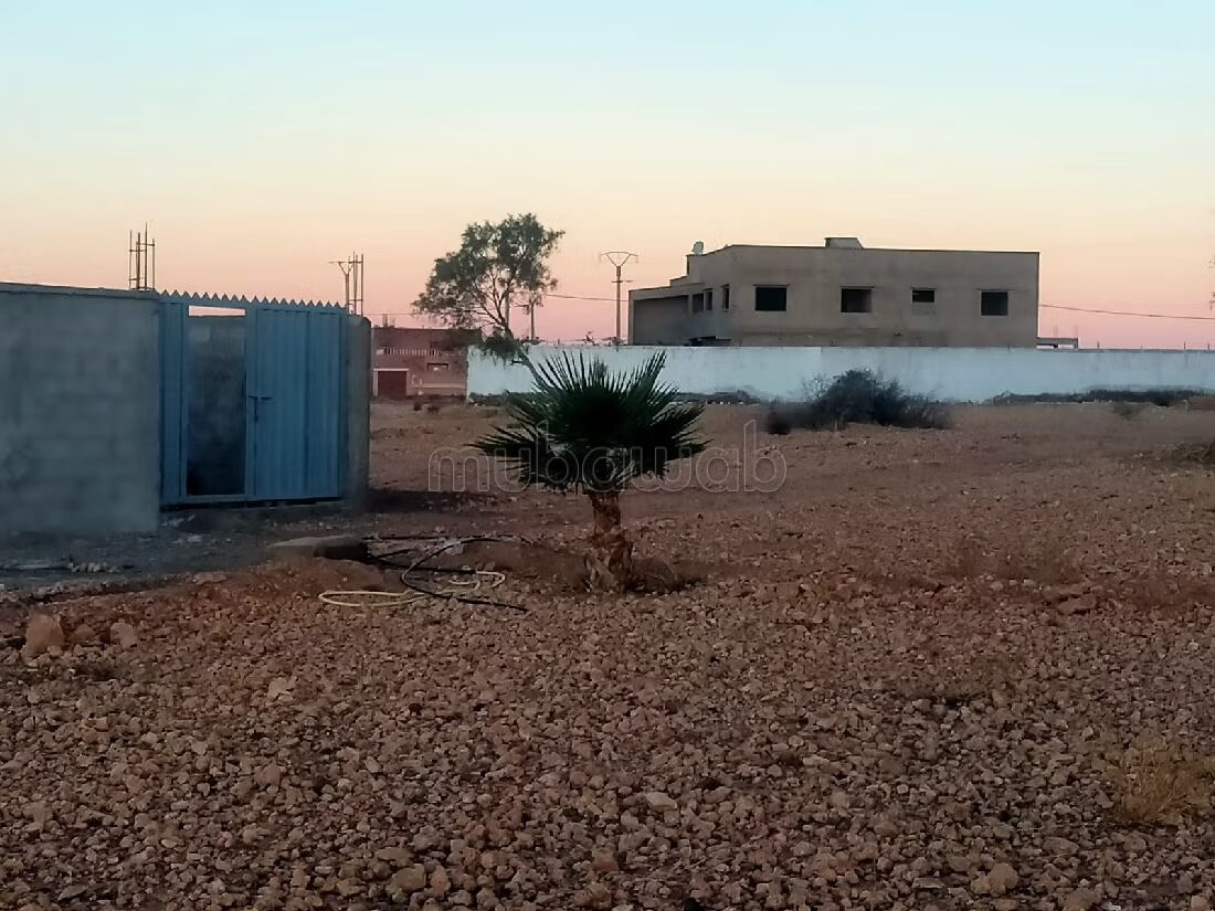 Terrain 8 hectares à vendre à Borous, Marrakech — Photo 43