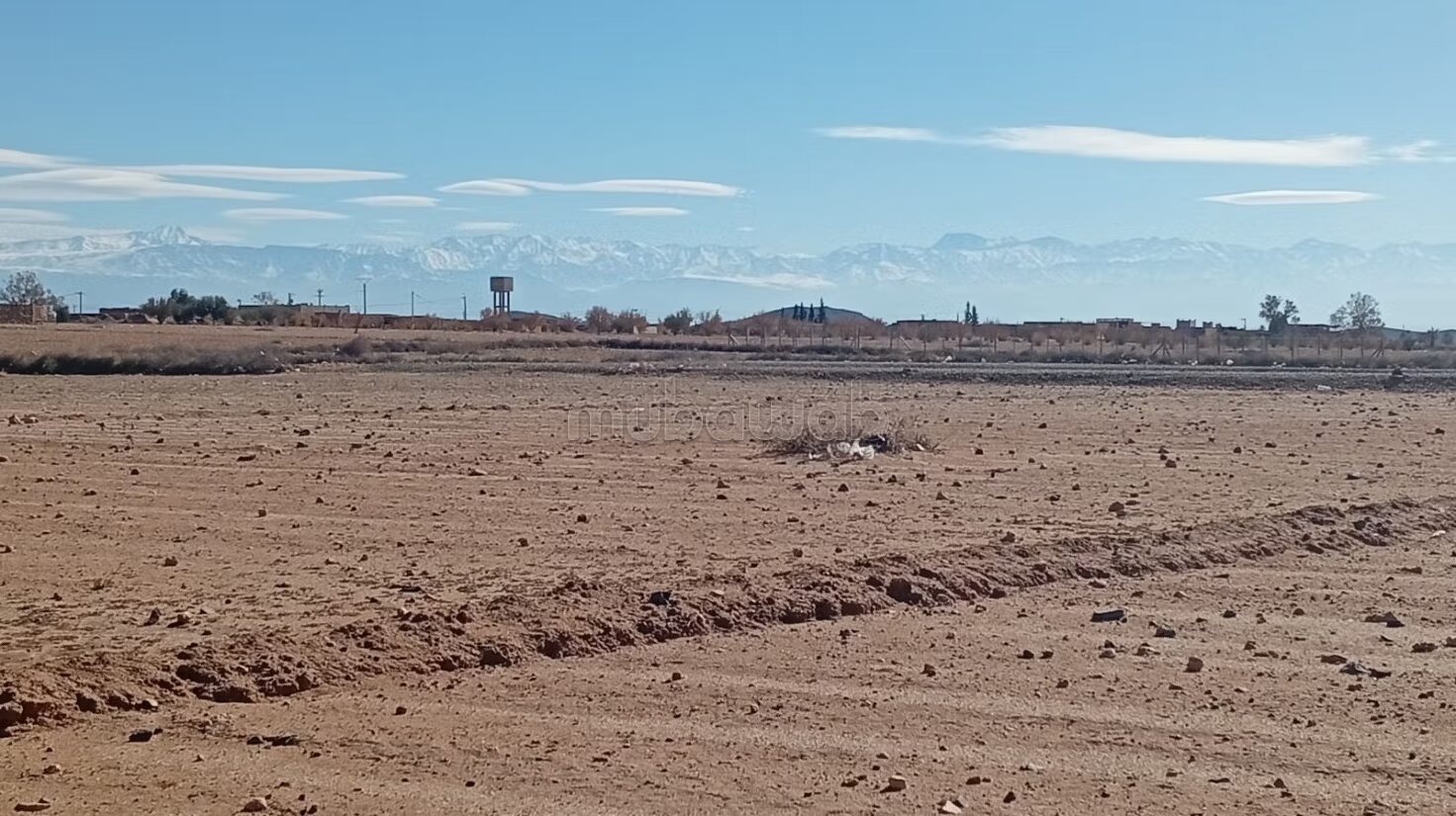 Terrain 8 hectares à vendre à Borous, Marrakech — Photo 47