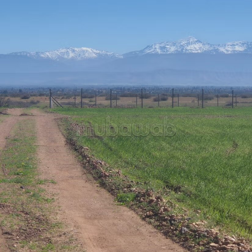 Terrain 8 hectares à vendre à Borous, Marrakech — Photo 51