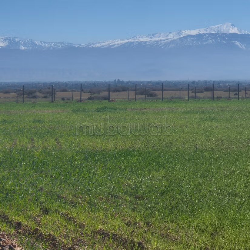 Terrain 8 hectares à vendre à Borous, Marrakech — Photo 52