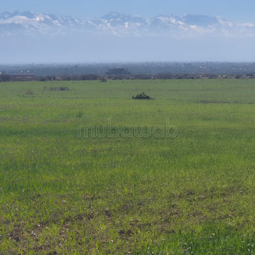 Terrain 8 hectares à vendre à Borous, Marrakech — Photo 55