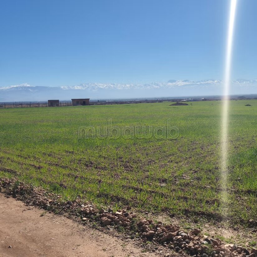 Terrain 8 hectares à vendre à Borous, Marrakech — Photo 57