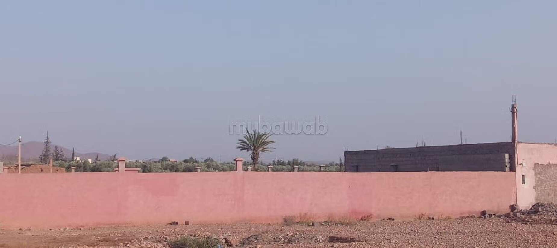 Terrain 8 hectares à vendre à Borous, Marrakech — Photo 66