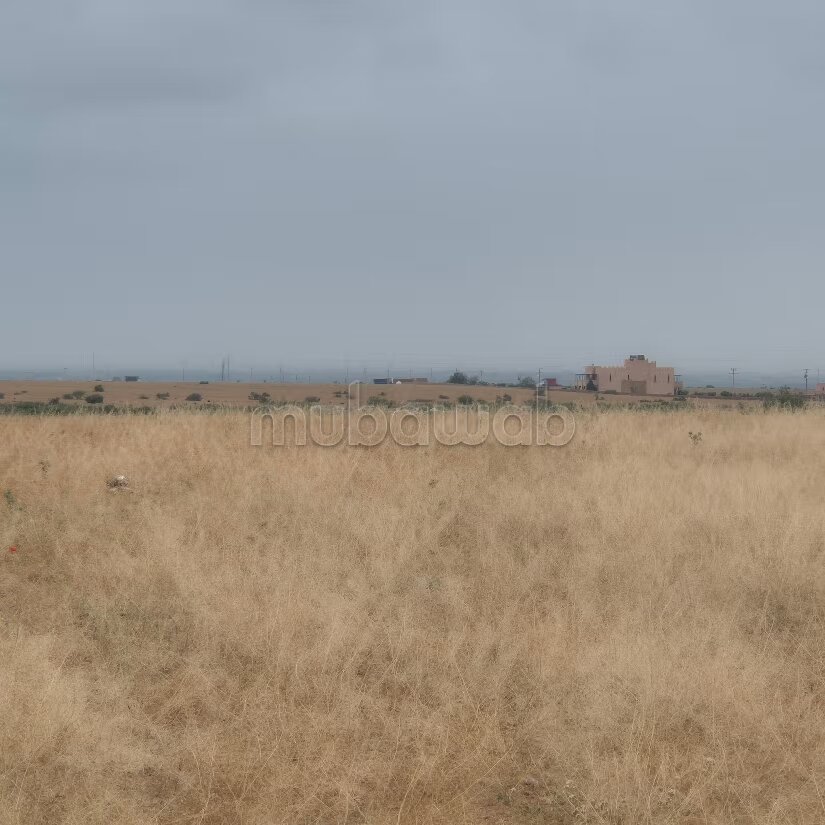 Terrain 8 hectares à vendre à Borous, Marrakech — Photo 82