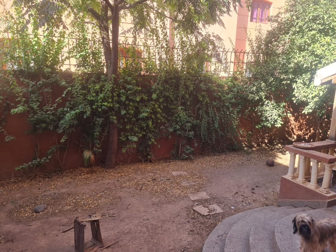 Villa 270 sqm for rent in Marrakech — Photo 16