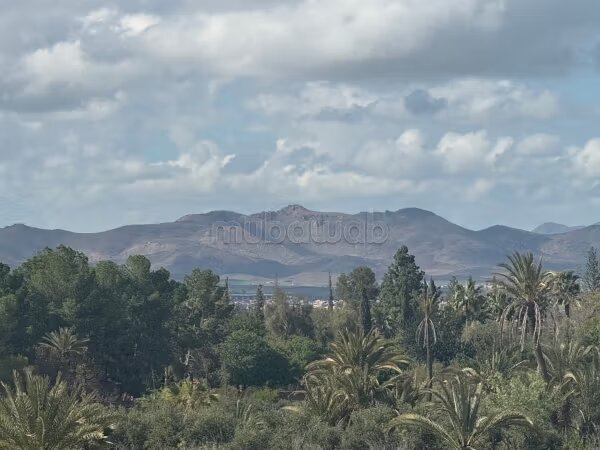 Terrain 100 m² à vendre à Marrakech – Annakhil — Photo 6