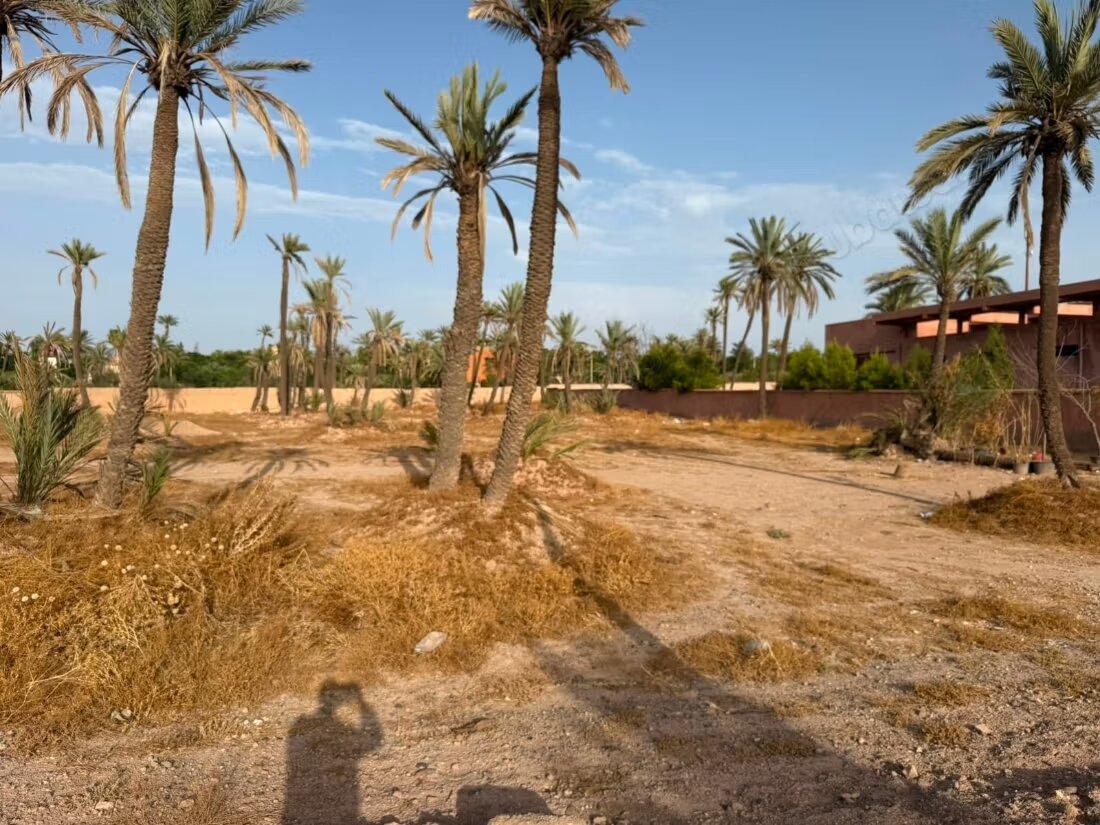 Land 15000 m² for sale in the Palmeraie, Marrakech — Photo 5
