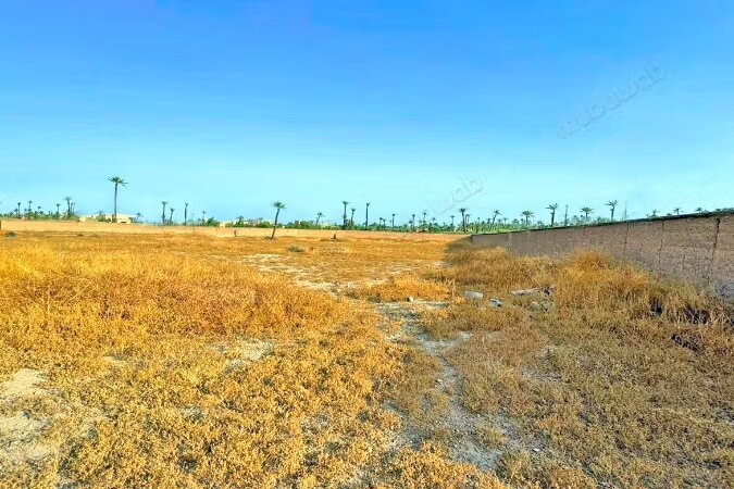 Land 15000 m² for sale in the Palmeraie, Marrakech — Photo 7