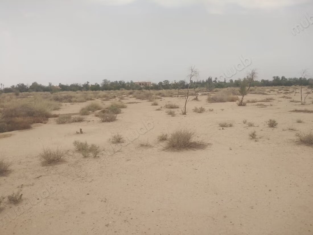 Terrain 10 ha à vendre à Marrakech à Marrakech