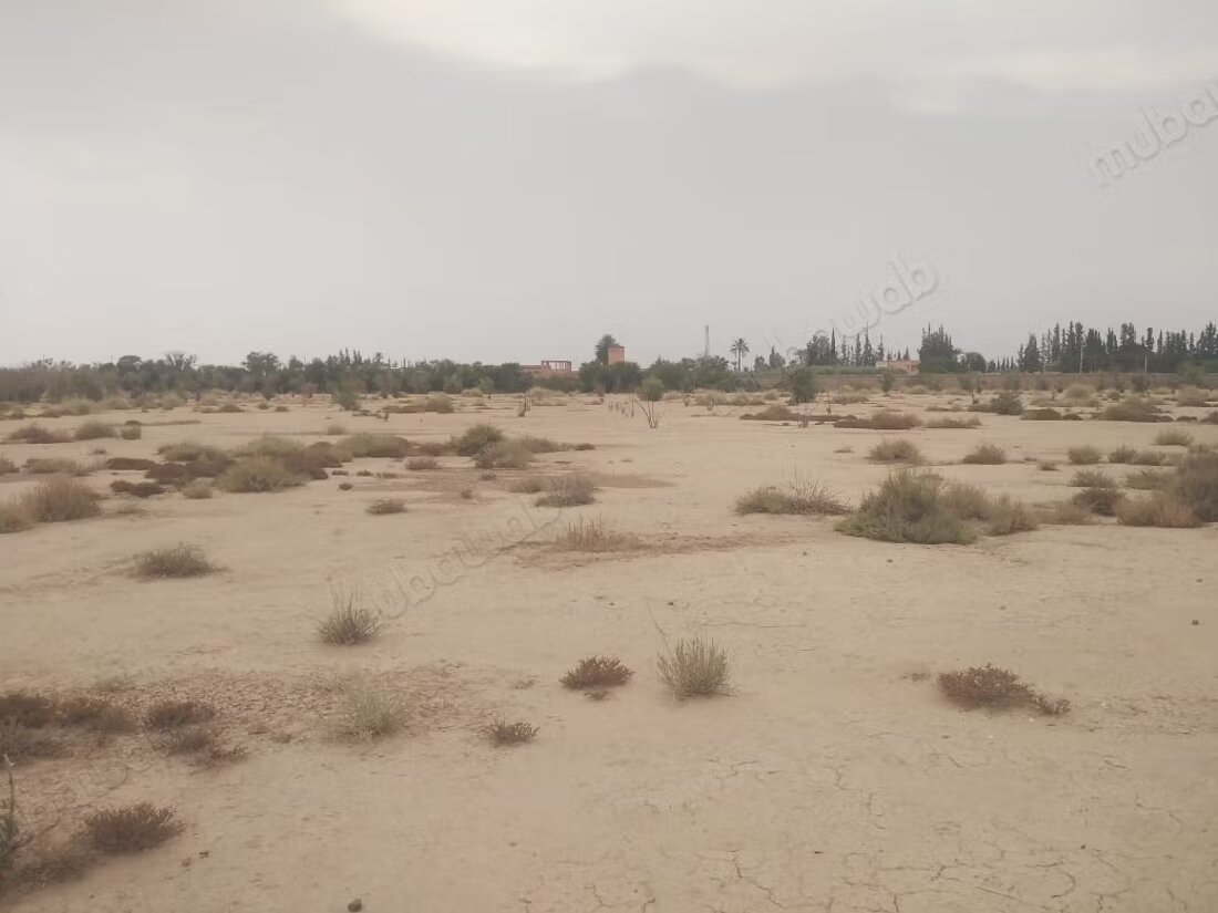 Land 10 ha for sale in Marrakech — Photo 3