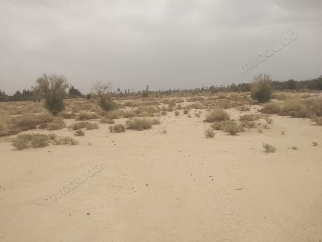 Land 10 ha for sale in Marrakech — Photo 4