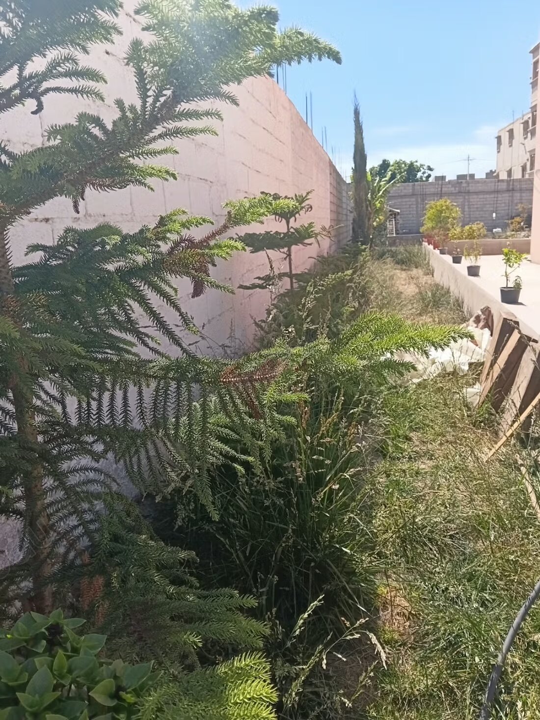 Villa 100 sqm for sale in Belfaa — Photo 5