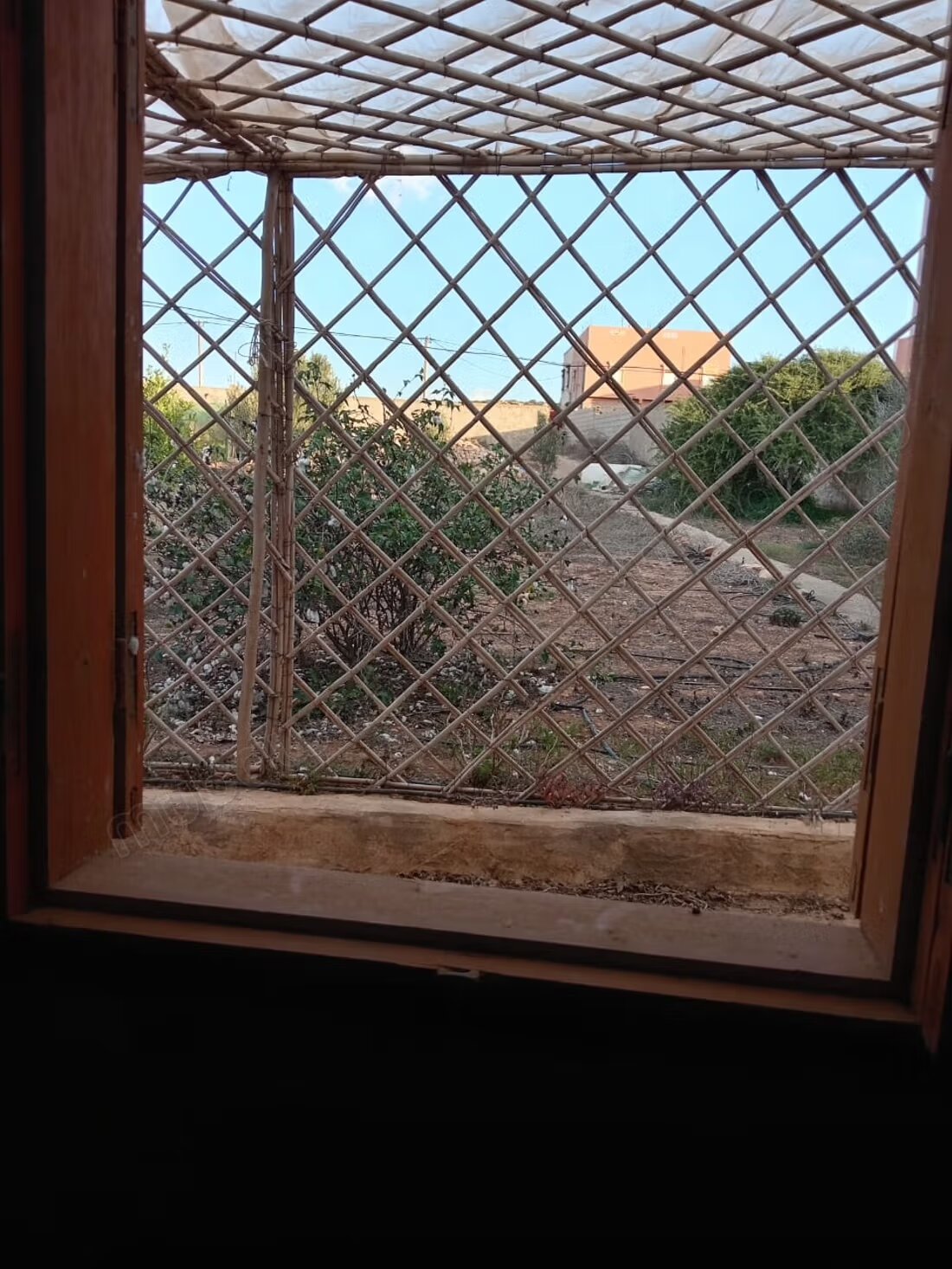 Villa 900 m² for sale — Photo 18