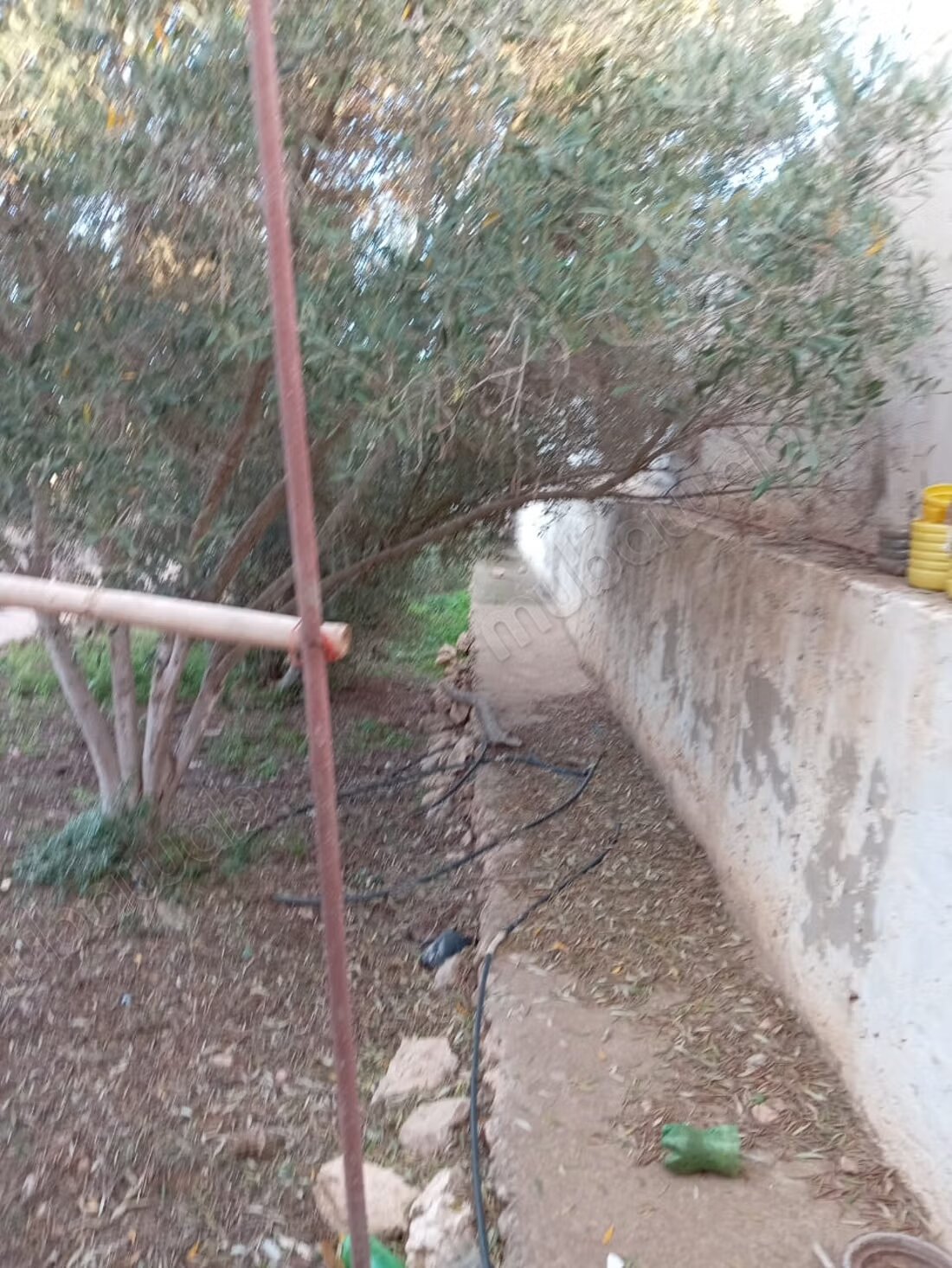 Villa 900 m² for sale — Photo 19