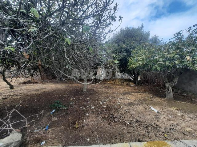 أرض 635 م² للبيع في طنجة — Photo 3