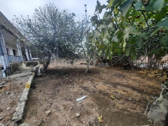 أرض 635 م² للبيع في طنجة — Photo 15
