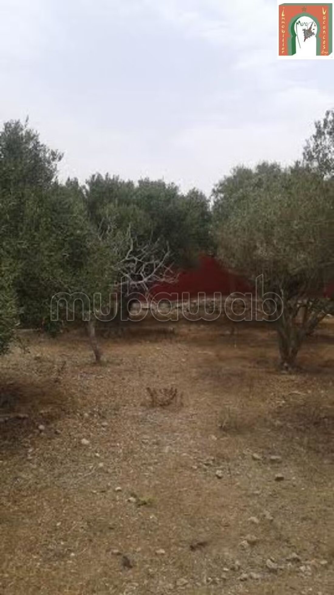 Villa 1120 m² à vendre à Safi - Lala Fatna — Photo 14