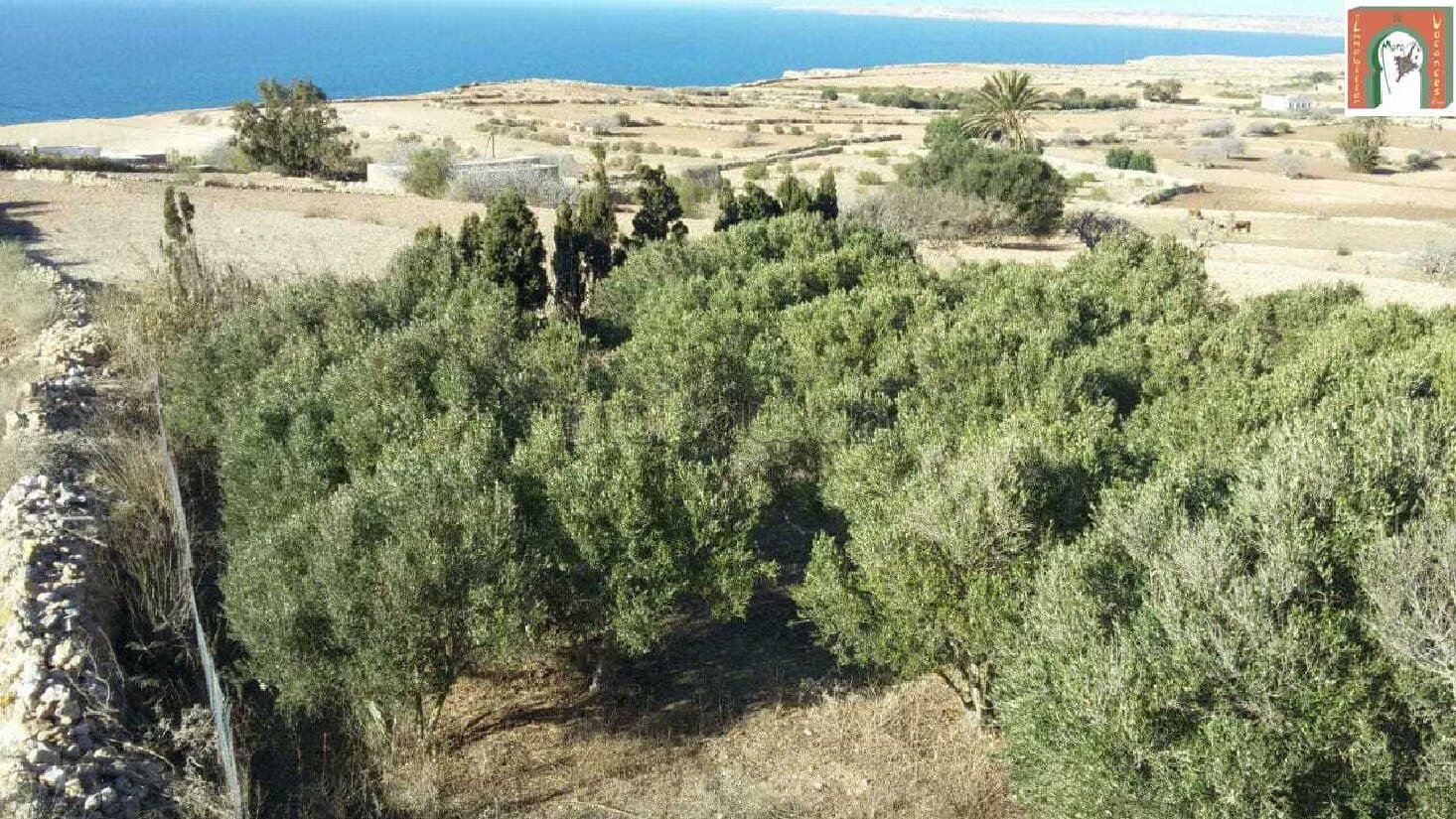 Villa 1120 m² à vendre à Safi - Lala Fatna — Photo 3