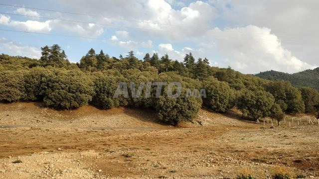 أرض 30000 م² للبيع في إفران – لا بري — Photo 2