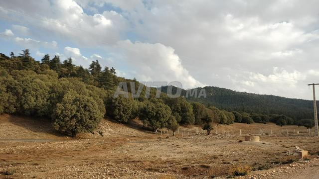أرض 30000 م² للبيع في إفران – لا بري — Photo 4