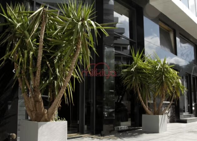 Bureau 176 m² à louer à Casablanca — Photo 20