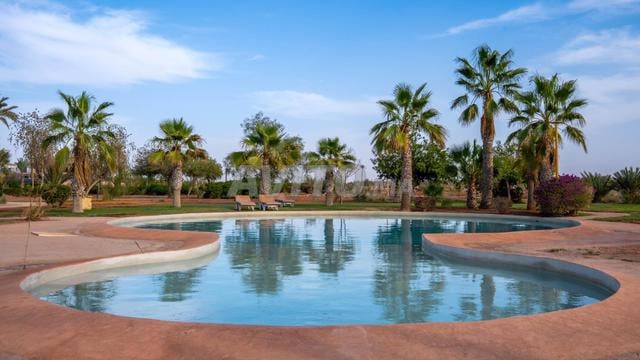 Appartement à louer à Marrakech - Palmeraie — Photo 21
