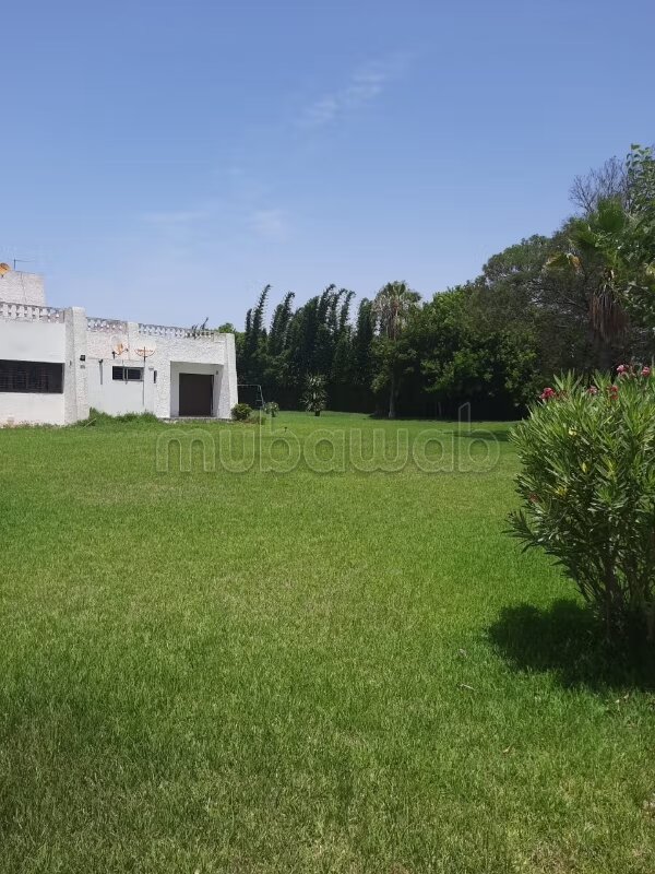 Land 450 m² for Sale in Rabat (Hay Riad) — Photo 5