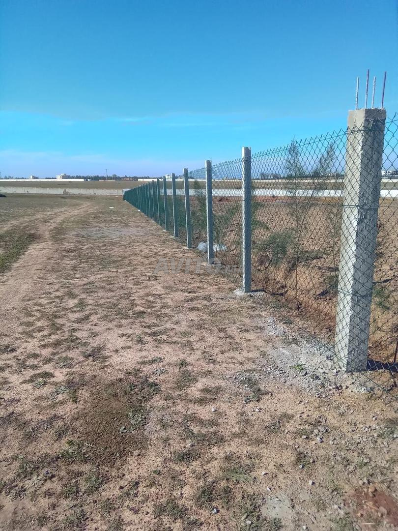 Land for Sale in Casablanca (Benslimane) — Photo 19