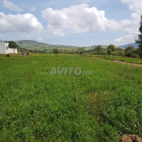 Terrain 605 m² à vendre à Tétouan — Photo 2