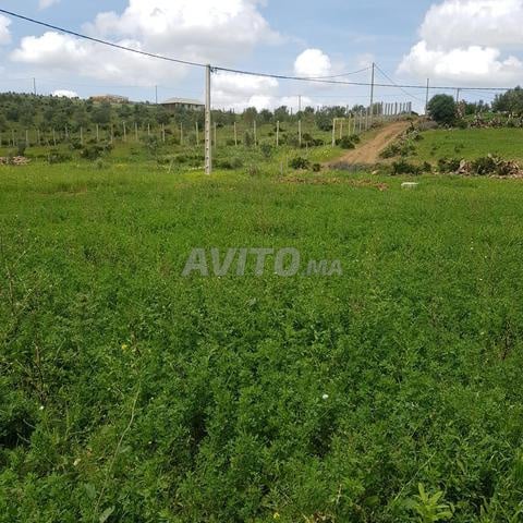 Terrain 605 m² à vendre à Tétouan — Photo 4