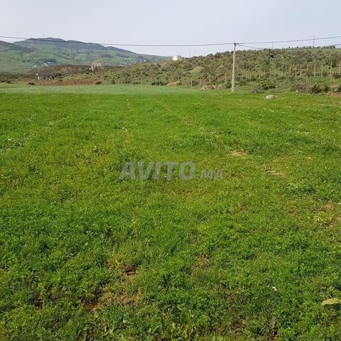 Terrain 605 m² à vendre à Tétouan — Photo 6