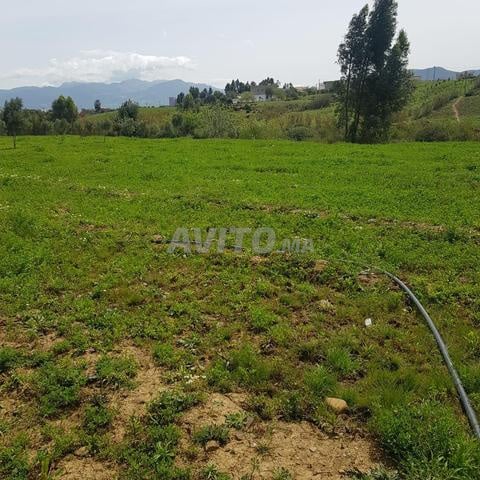 Terrain 605 m² à vendre à Tétouan — Photo 8