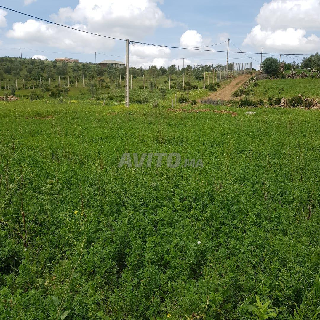 Terrain 605 m² à vendre à Tétouan — Photo 3