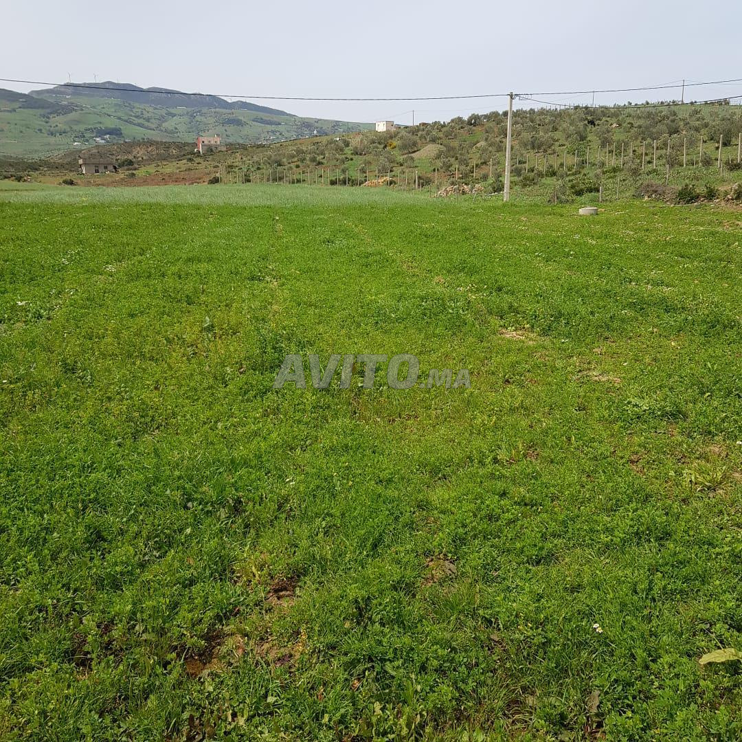 Terrain 605 m² à vendre à Tétouan — Photo 5