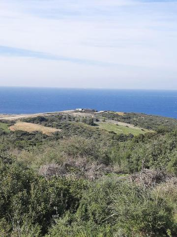 أرض 20000 متر مربع للبيع في طنجة — Photo 7