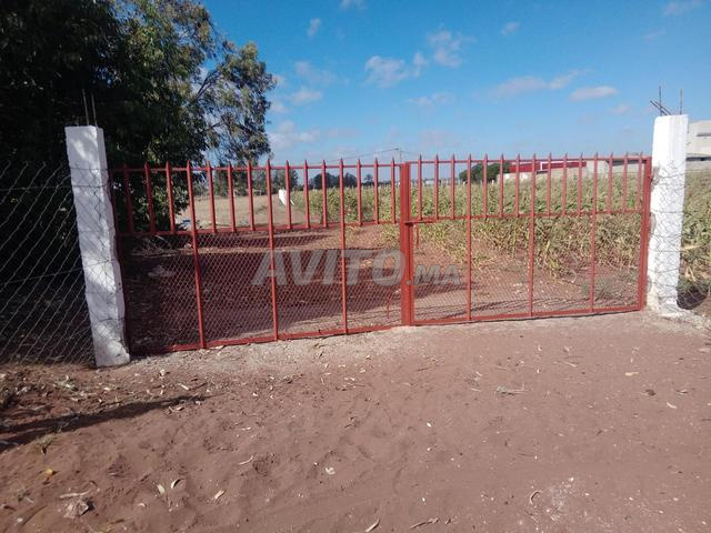 أرض للبيع 1 هكتار و 2500 متر في بير جديد — Photo 3