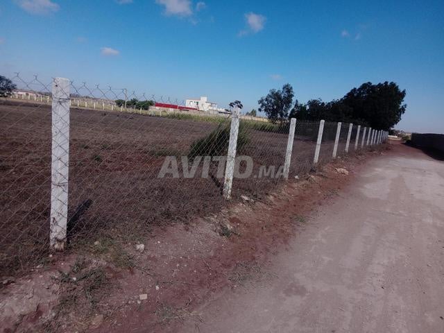 أرض للبيع 1 هكتار و 2500 متر في بير جديد — Photo 5