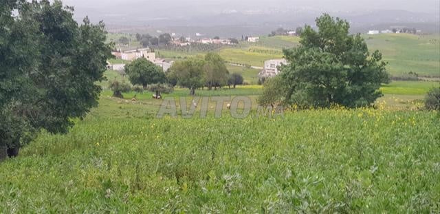 Registered Land for Sale