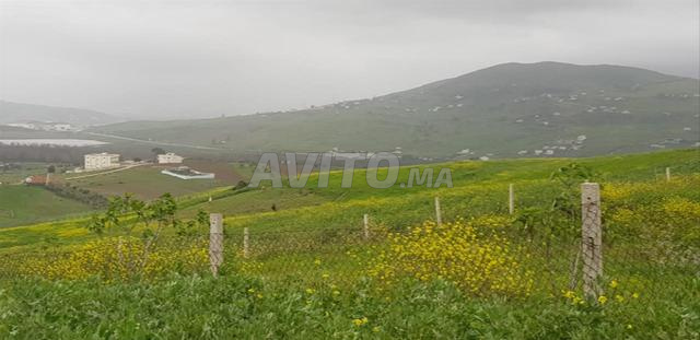 Terrain 1800 m² à vendre à Tétouan — Photo 3
