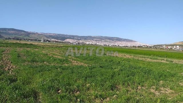 Terrain 6500 m² à vendre à Tétouan — Photo 2