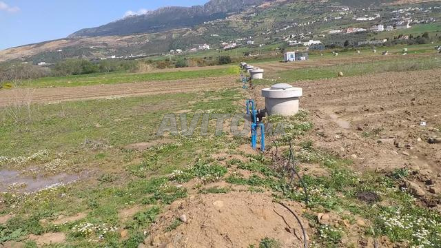 Terrain 6500 m² à vendre à Tétouan — Photo 4
