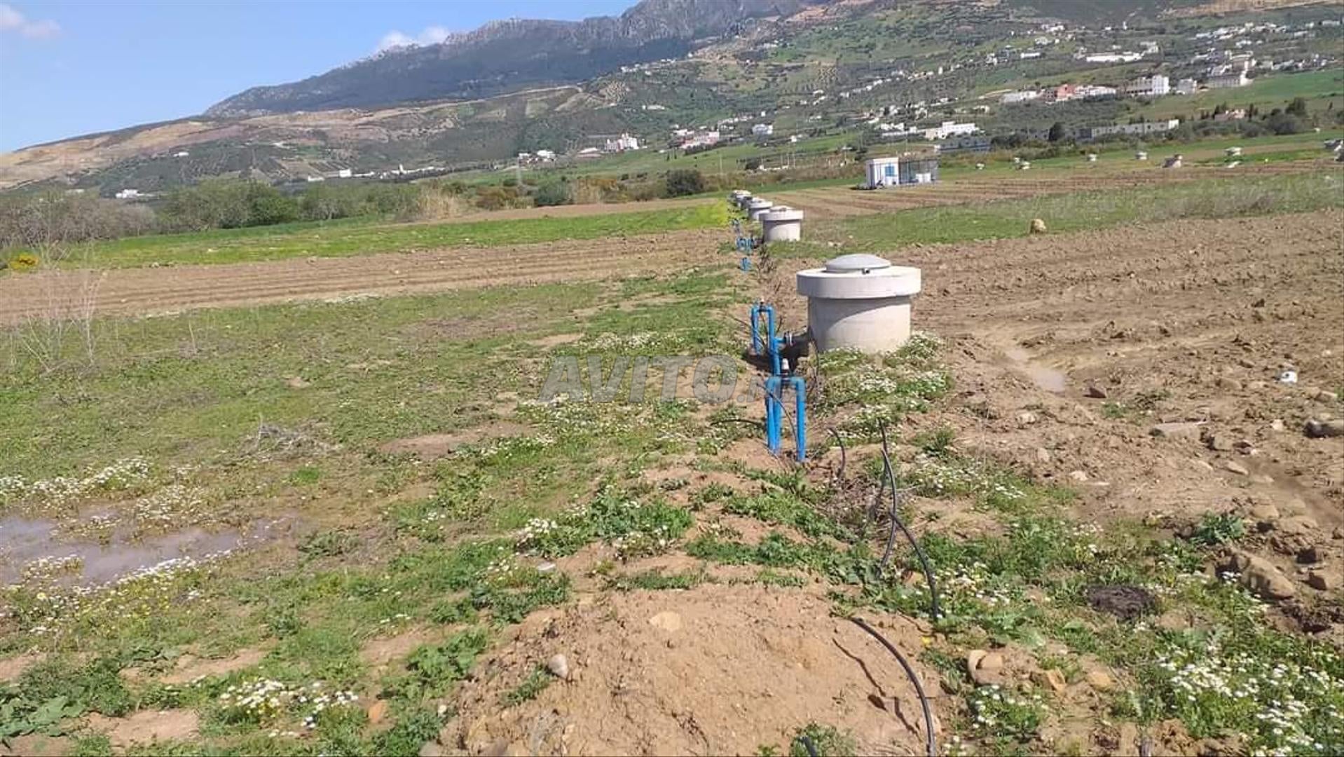 Terrain 6500 m² à vendre à Tétouan — Photo 3