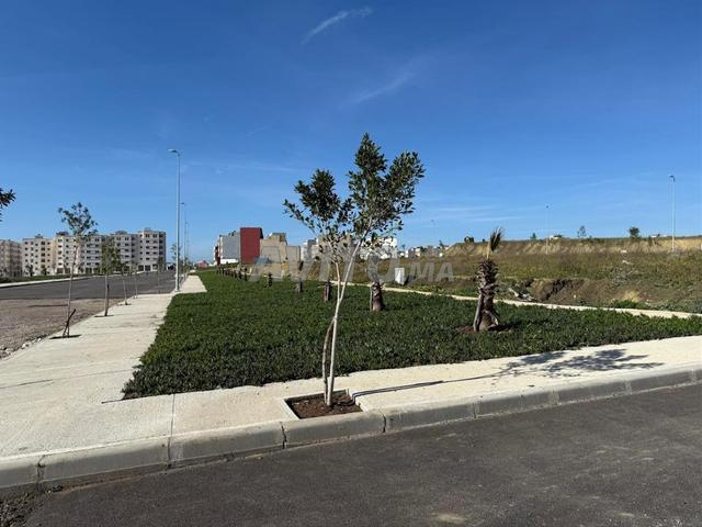 Land for sale in Tangier - Malak Aissa neighborhood — Photo 9