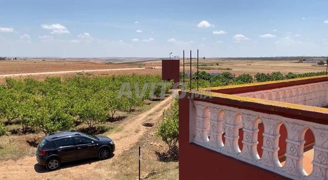 Investment Farm 26520m2 for Sale in El Jadida — Photo 5
