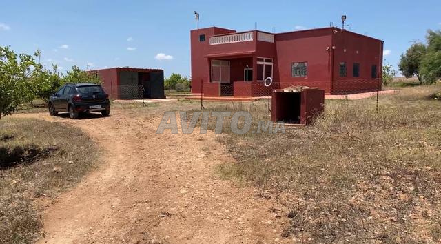 Investment Farm 26520m2 for Sale in El Jadida — Photo 7
