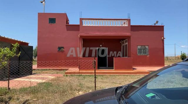Investment Farm 26520m2 for Sale in El Jadida — Photo 13