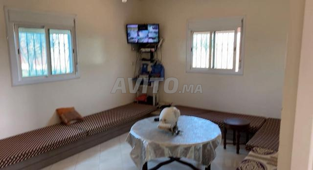 Investment Farm 26520m2 for Sale in El Jadida — Photo 23
