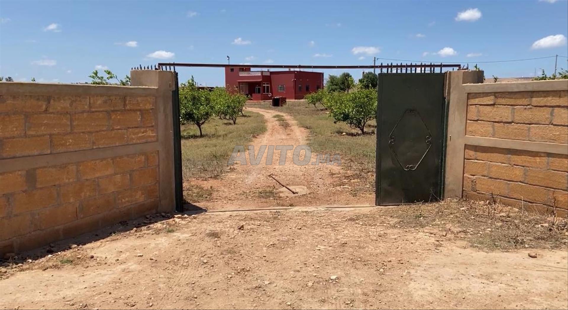 Investment Farm 26520m2 for Sale in El Jadida — Photo 4