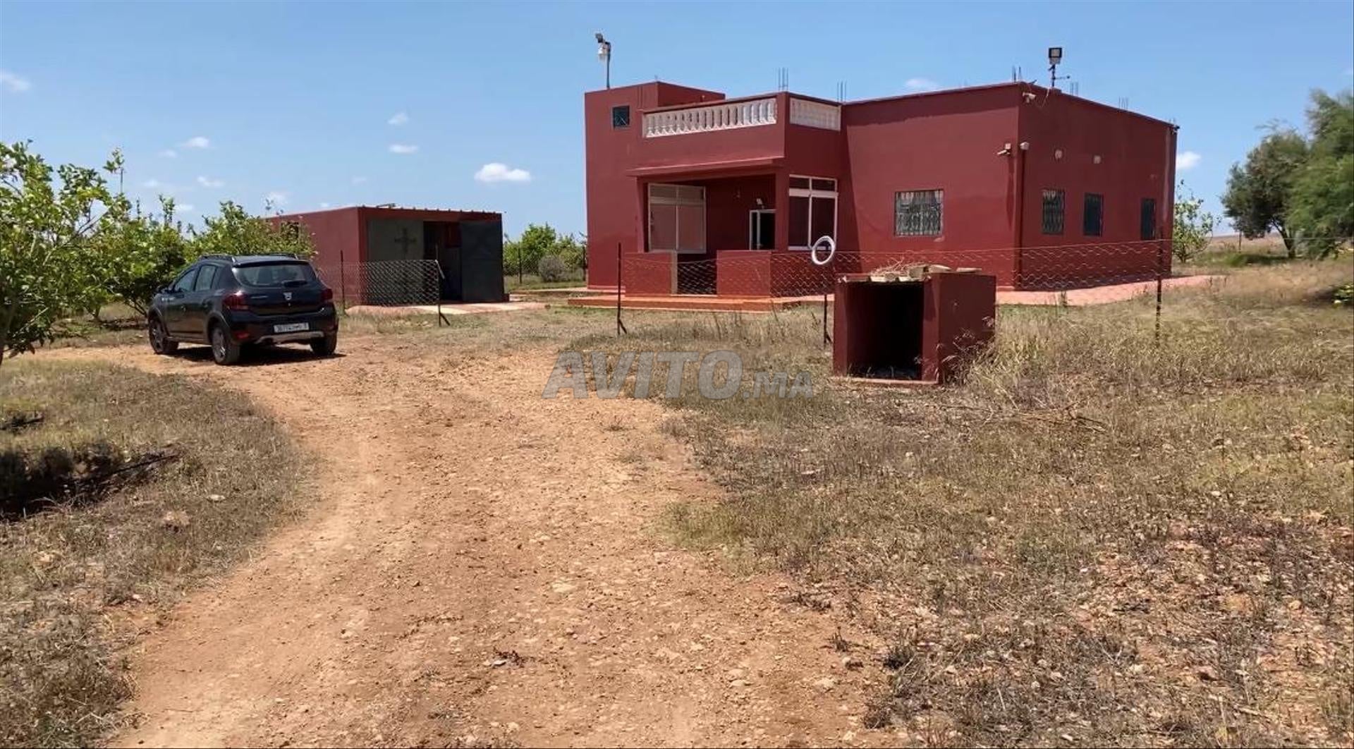 Investment Farm 26520m2 for Sale in El Jadida — Photo 8