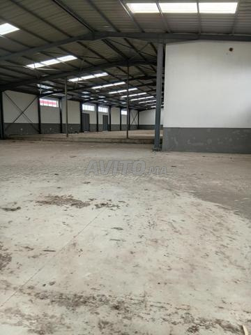 Commercial space 600 m² for rent in Mohammédia — Photo 4